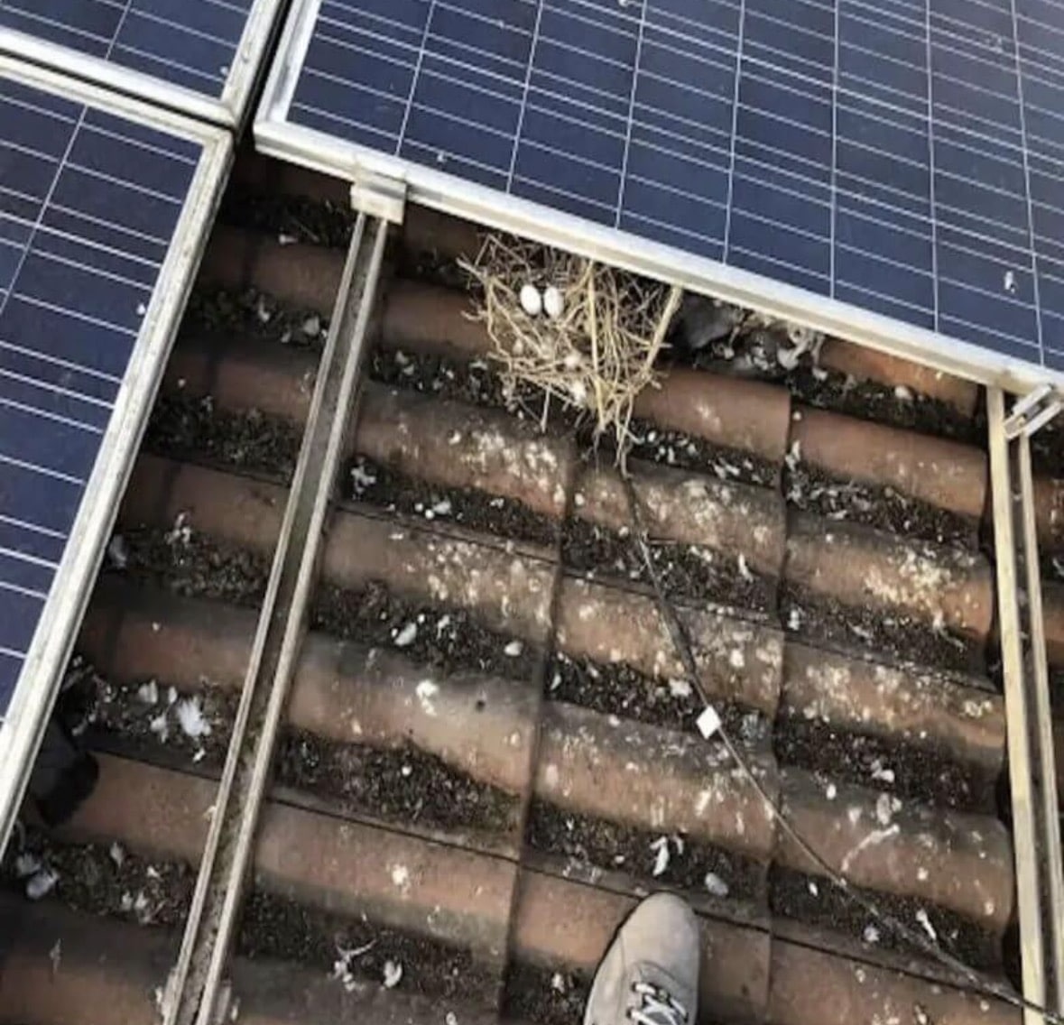 5 METRI PARAPICCIONE FOTOVOLTAICO POLIETILENE - immagine 3